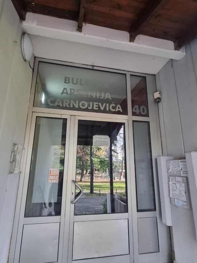 Hawaii- 2 Bdr, Arena, Sava Centar, Free Parking Belgrado Exterior foto
